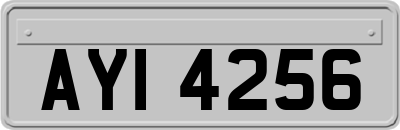 AYI4256