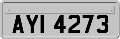 AYI4273
