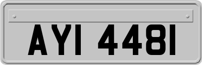 AYI4481