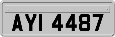 AYI4487