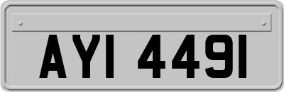 AYI4491