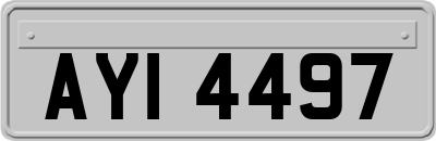 AYI4497