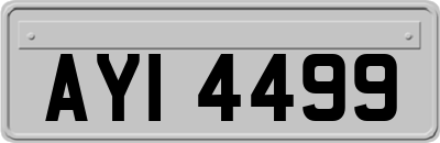 AYI4499
