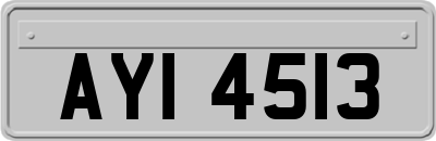 AYI4513