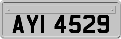 AYI4529