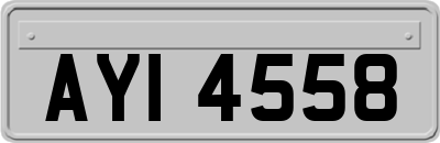 AYI4558
