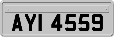 AYI4559