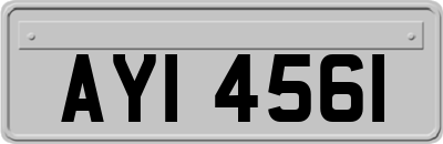 AYI4561