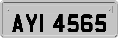AYI4565