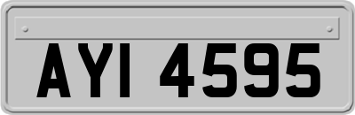 AYI4595