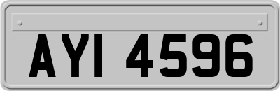 AYI4596