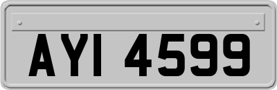AYI4599
