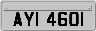 AYI4601