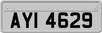 AYI4629