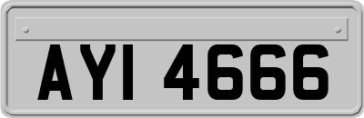 AYI4666