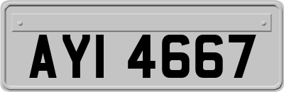 AYI4667