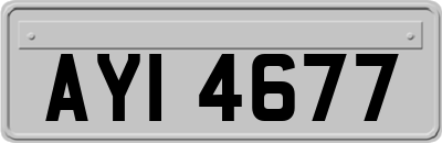 AYI4677
