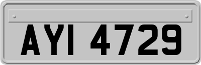 AYI4729