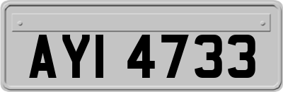 AYI4733