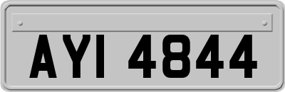 AYI4844