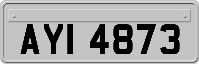 AYI4873