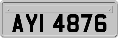 AYI4876