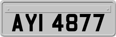 AYI4877