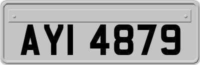 AYI4879