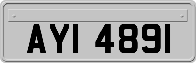 AYI4891