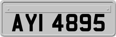 AYI4895