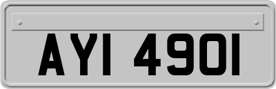 AYI4901