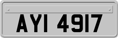 AYI4917