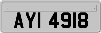 AYI4918