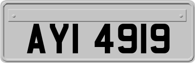 AYI4919