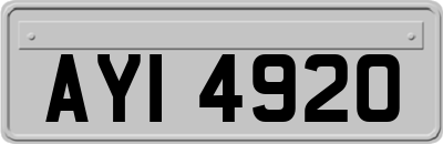 AYI4920