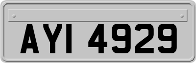 AYI4929