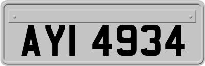 AYI4934