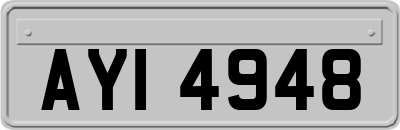 AYI4948
