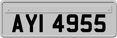 AYI4955