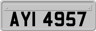 AYI4957