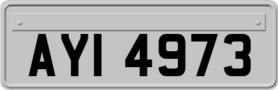 AYI4973