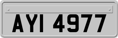 AYI4977
