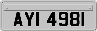 AYI4981