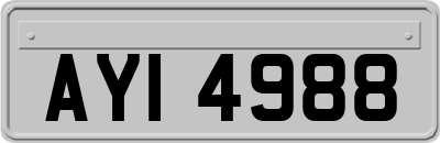 AYI4988