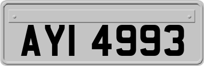 AYI4993