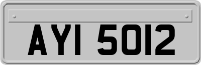AYI5012