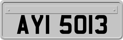AYI5013