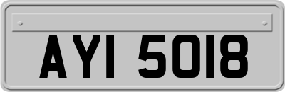 AYI5018