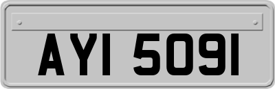 AYI5091