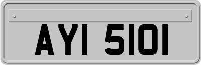 AYI5101